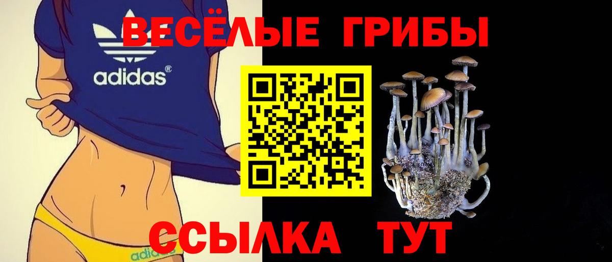 Воркута  Псилоцибиновые грибы мухоморы  Вход с VPN 